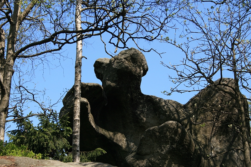 Original image
